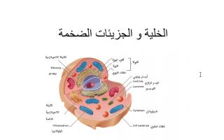 تلخيص علوم الخلية والجزيئات الضخمة سادس فصل ثاني