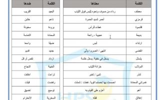 ورقة عمل درس معطفي القرمزي لغة عربية صف رابع فصل ثاني