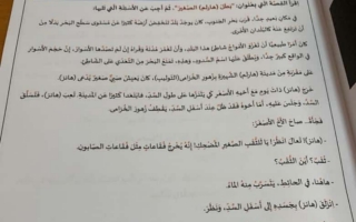 امتحان نهاية الفصل لغة عربية الصف الخامس الفصل الأول - نموذج 3