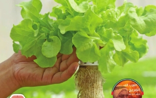 كتاب الطالب المجلد الثالث الدراسات الإجتماعية والتربية الوطنية الصف الرابع الفصل الدراسي الثالث 2025-2026