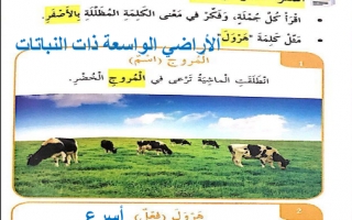 حل درس أمير الجمل الصغير لغة عربية صف رابع