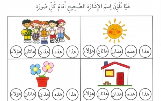 أوراق عمل متنوعة اللغة العربية الصف الثاني