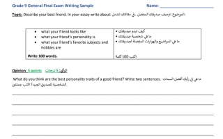 ورقة عمل Final Exam Writing Sample لغة إنجليزية الصف التاسع
