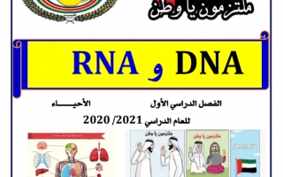 ملزمة درس DNA & RNA الأحياء للصف الحادي عشر متقدم