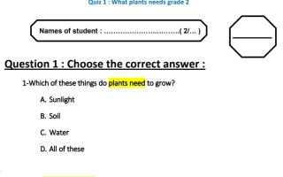 ورقة عمل plants needs العلوم منهج انجليزي الصف الثاني