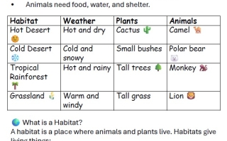 حل مراجعة Revision Sheet العلوم المتكاملة الصف الثاني انسبير الفصل الثالث