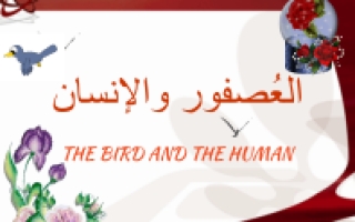 حل درس العصفور والإنسان لغة عربية للصف الثالث فصل ثالث