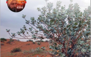 كتاب الطالب المجلد الثالث الدراسات الإجتماعية والتربية الوطنية الصف السابع الفصل الدراسي الثالث 2025-2026