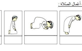 ورقة عمل داعمة درس انا اصلي التربية الاسلامية الصف الثاني