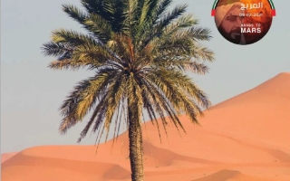 كتاب دليل المعلم المجلد الثالث الدراسات الإجتماعية والتربية الوطنية الصف الثاني الفصل الدراسي الثالث 2025-2026