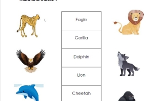 أوراق عمل Wild Animals اللغة الإنجليزية الصف الثالث الفصل الثاني