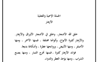مراجعة الجملة الاسمية والفعلية لغة عربية صف رابع فصل ثاني