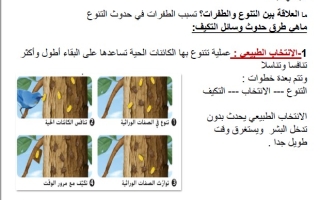 ملخص درس وسائل التكيف في الأنواع العلوم المتكاملة الصف الثامن