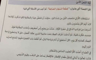 امتحان نهاية الفصل لغة عربية الصف الثالث الفصل الأول - نموذج 1