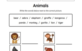 اختبار التقويم الأول اللغة الإنجليزية الصف الثالث الفصل الثاني