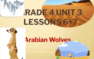 حل درس Arabian Wolves اللغة الإنجليزية الصف الرابع نموذج 2