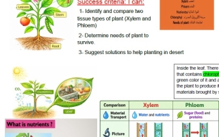 ملخص Plant survival العلوم المتكاملة الصف الخامس انسبير الفصل الثالث