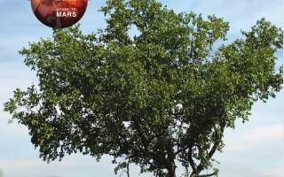 كتاب دليل المعلم المجلد الثالث الدراسات الإجتماعية والتربية الوطنية الصف السادس الفصل الدراسي الثالث 2025-2026