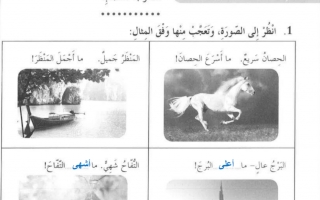 حل درس اسلوب التعجب عربي صف ثالث