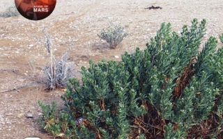 كتاب دليل المعلم المجلد الثالث الدراسات الإجتماعية والتربية الوطنية الصف الثالث الفصل الدراسي الثالث 2025-2026