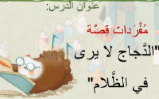مفردات درس الدجاج لا يرى في الظلام اللغة العربية الصف الثاني
