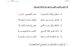 مراجعة تدريبات هيكل امتحان اللغة العربية الصف الثالث الفصل الثاني 2023-2024