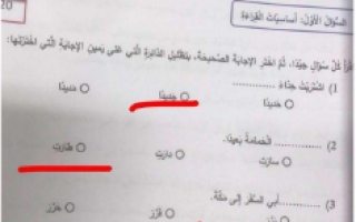 امتحان نهاية الفصل مع الحل لغة عربية الصف الثاني الفصل الثالث - نموذج 2