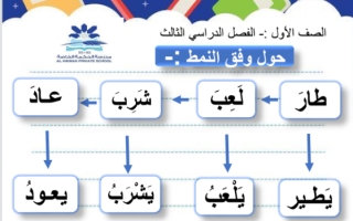 ورقة عمل الأفعال اللغة العربية الصف الأول