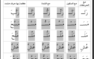 تدريبات إثرائية على نطق الحروف بالحركات والسكون والشدة اللغة العربية للصف الأول