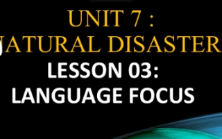 حل درس Language focus اللغة الانجليزية الصف التاسع