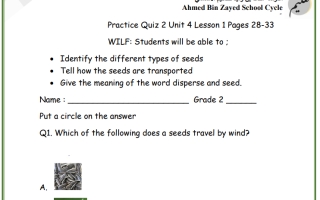 ورقة عمل Practice Quiz 2 العلوم منهج انجليزي الصف الثاني