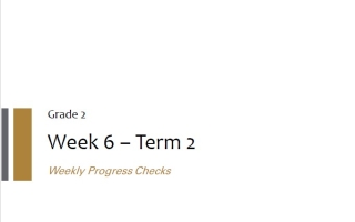الخطة الأسبوعية Weekly Progress Checks Week 6 اللغة الإنجليزية الصف الثاني الفصل الثاني