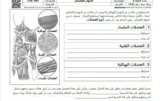 ورقة عمل الجهاز العضلي احياء الصف العاشر عام الفصل الاول