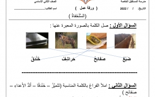 ورقة عمل درس السلحفاة مع الحل اللغة العربية الصف الثاني