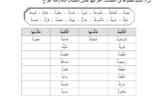 تطبيقات درس التاء المربوطة والتاء المفتوحة لغة عربية صف ثاني فصل ثاني