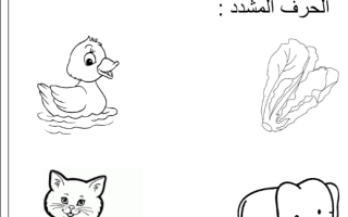 ورقة عمل إثرائية درس الشدة اللغة العربية الصف الأول