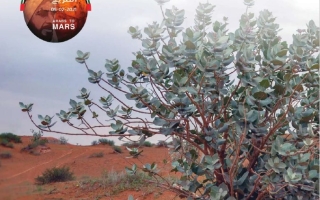 كتاب دليل المعلم المجلد الثالث الدراسات الإجتماعية والتربية الوطنية الصف السابع الفصل الدراسي الثالث 2025-2026