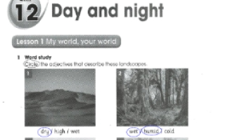 حل الوحدة 12  (Day and Night) كتاب النشاط لغة إنجليزية للصف الرابع