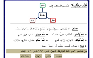 ورقة عمل درس أقسام الكلمة اللغة العربية الصف الثالث