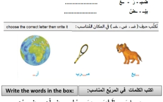 ورقة عمل درس حرف الضاء لغة عربية الصف الأول - نموذج 3