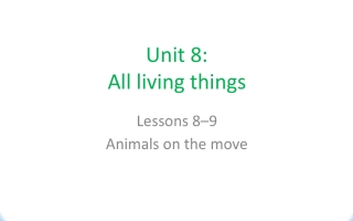 حل درس Animals On The Move اللغة الانجليزية الصف السابع