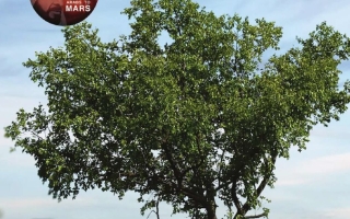 كتاب الطالب المجلد الثالث الدراسات الإجتماعية والتربية الوطنية الصف السادس الفصل الدراسي الثالث 2025-2026