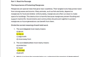 حل ورقة عمل worksheet 2 اللغة الإنجليزية الصف الخامس الفصل الثاني