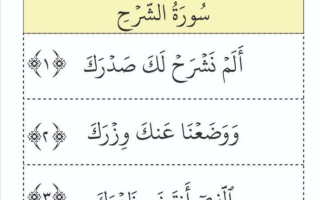 أوراق عمل درس سورة الشرح تربية اسلامية الصف الثاني الفصل الأول