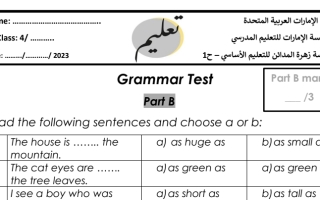 اختبار تدريبي Grammar اللغة الإنجليزية الصف الرابع الفصل الثاني