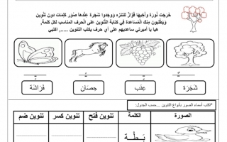 ورقة عمل درس التمييز بين أنواع التنوين لغة عربية الصف الأول