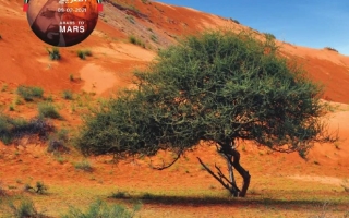 كتاب دليل المعلم المجلد الثالث الدراسات الإجتماعية والتربية الوطنية الصف التاسع الفصل الدراسي الثالث 2025-2026