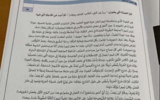 امتحان نهاية الفصل مع الحل لغة عربية الصف السابع الفصل الأول - نموذج 2