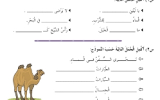 ورقة عمل هامة إكمال وكتابة جمل اللغة العربية الصف الثاني الفصل الثالث