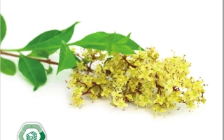 كتاب الطالب المجلد الثاني العلوم المتكاملة الصف الثامن بريدج الفصل الدراسي الثاني 2025-2026